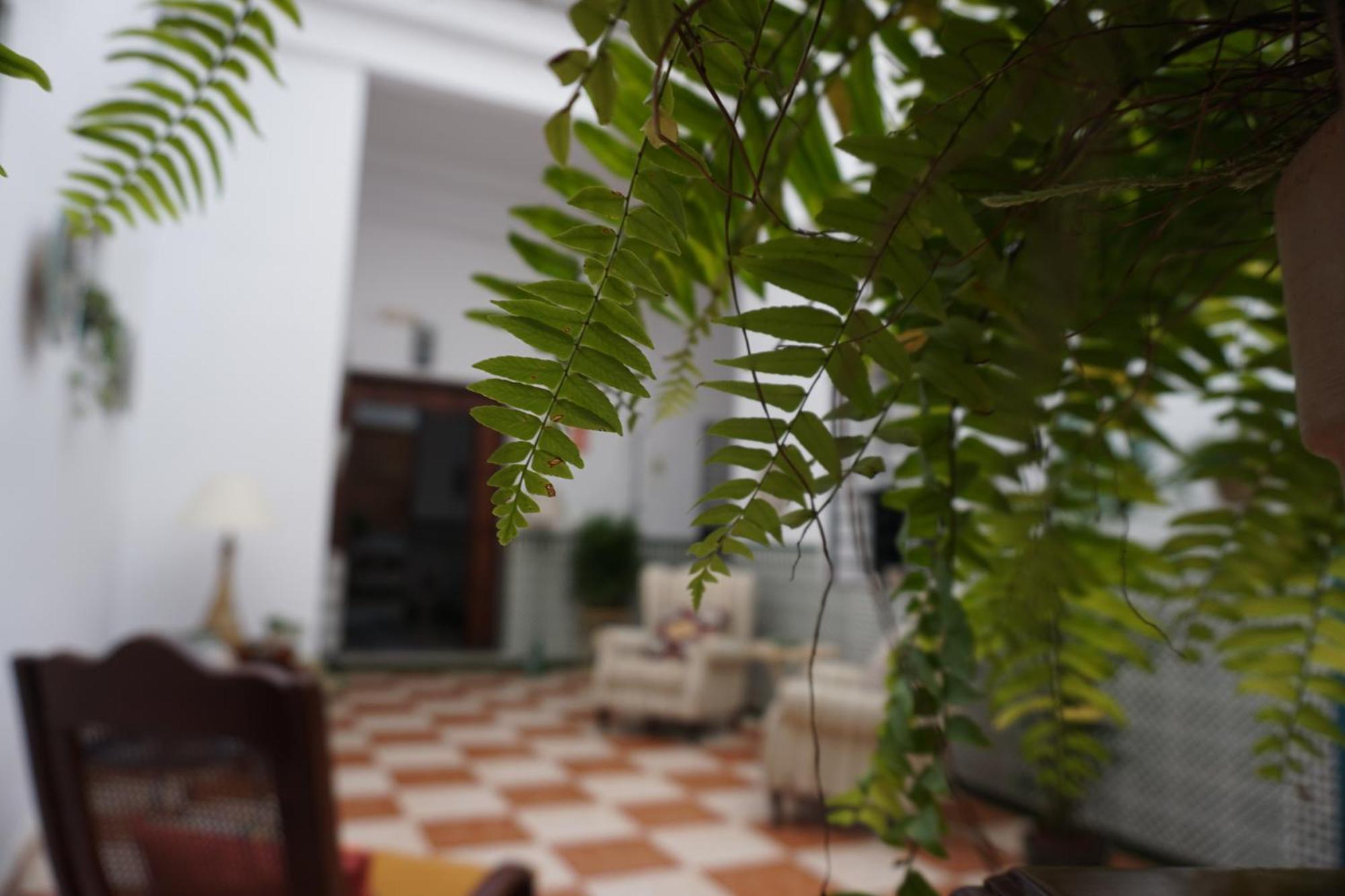 Montserrat Casa Del Mar チピオナ エクステリア 写真