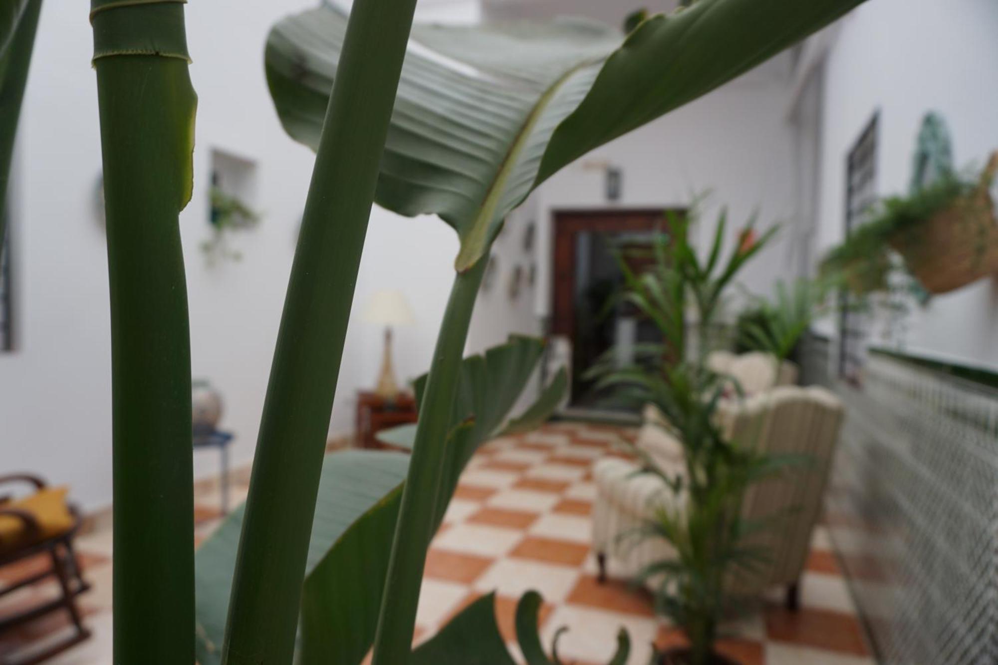 Montserrat Casa Del Mar チピオナ エクステリア 写真