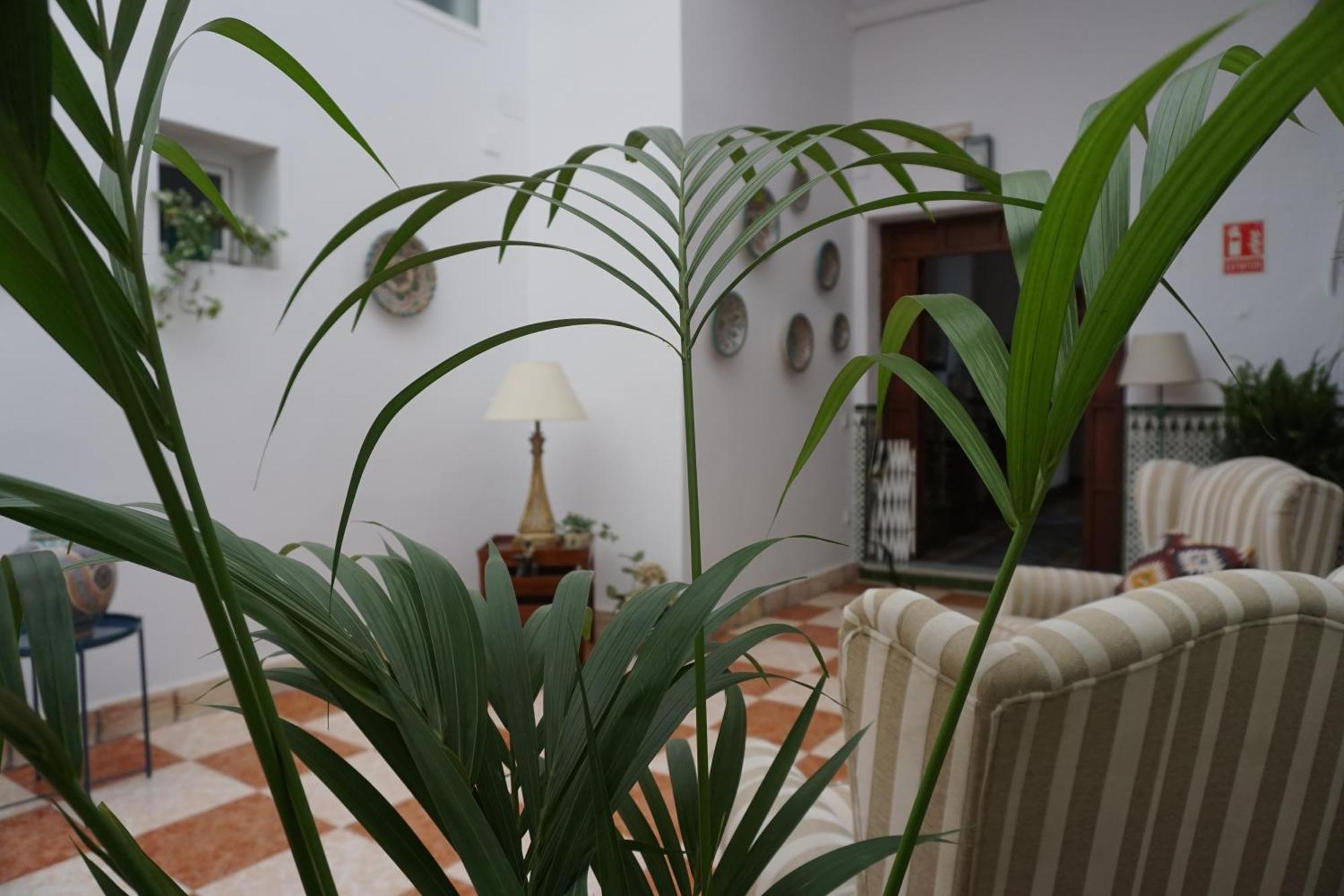 Montserrat Casa Del Mar チピオナ エクステリア 写真